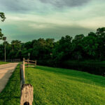 +12 Things to Do in Irving without a car