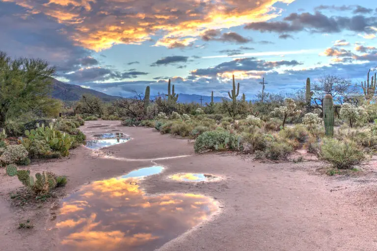 Living In Chandler, AZ What Is It Like Pros and Cons Combadi