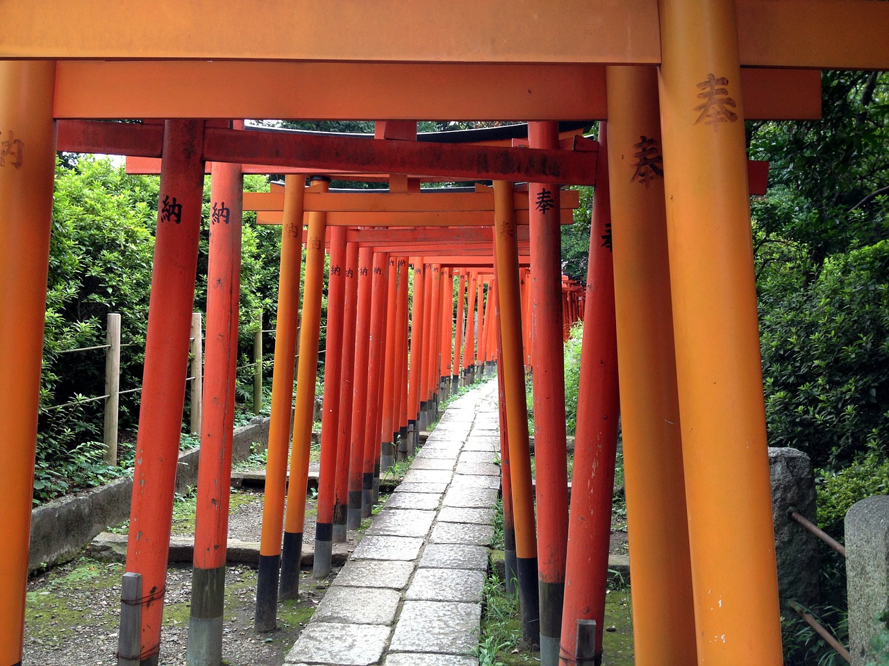 The 15 best places to take pictures in Tokyo