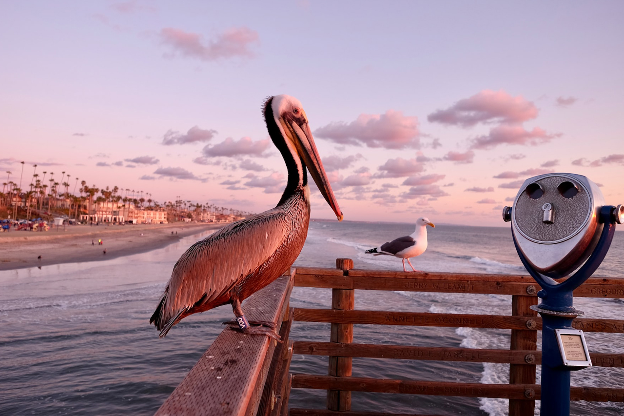 Living in Oceanside, CA - What is it like - Pros and Cons