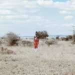 How to see Africa from Malaga (for real!)