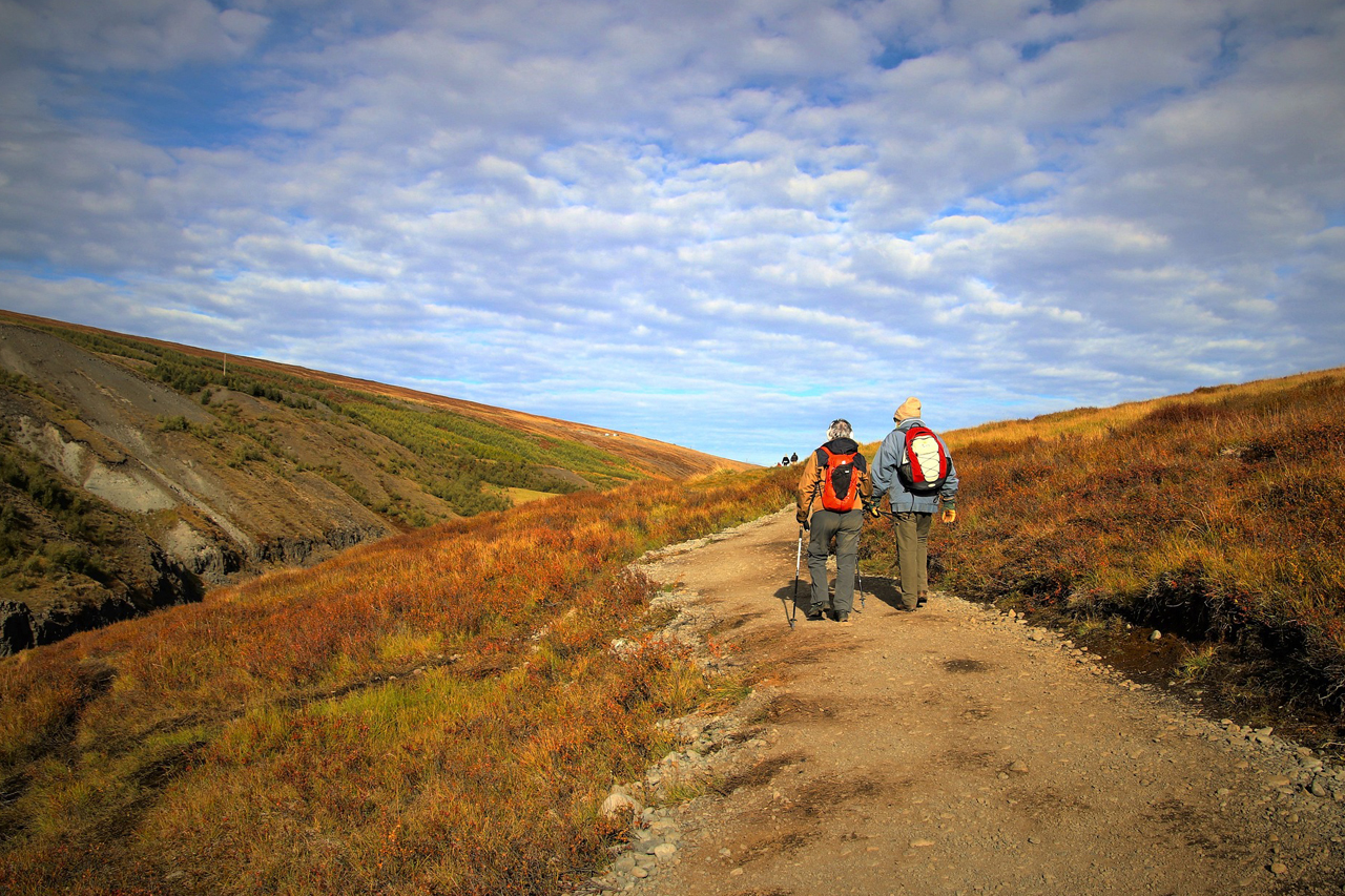 colorado tours for seniors